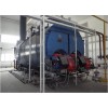 WNSpđȼȼ偠t20t/h~30t/h